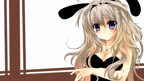 Bunnygirl, hold hold, kan no hana suzu, девушка, уши