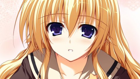 Tomose shunsaku, akatsuki no goei, kurayashiki tae, девушка,