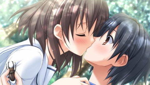 Kantoku, natsu no ame, itou hinako, мальчик, девушка, поцелуй, жук