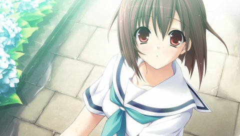 Suzuhira hiro, amesarasa, kumihama mitsuha, девушка, брюнетка, смотреть