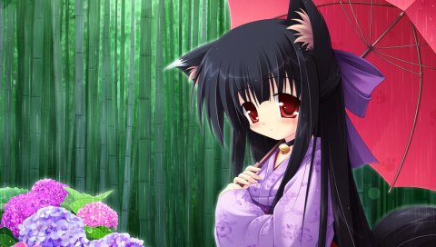 Tsubasa tamago, девушка, брюнетка, уши, зонтик, дождь