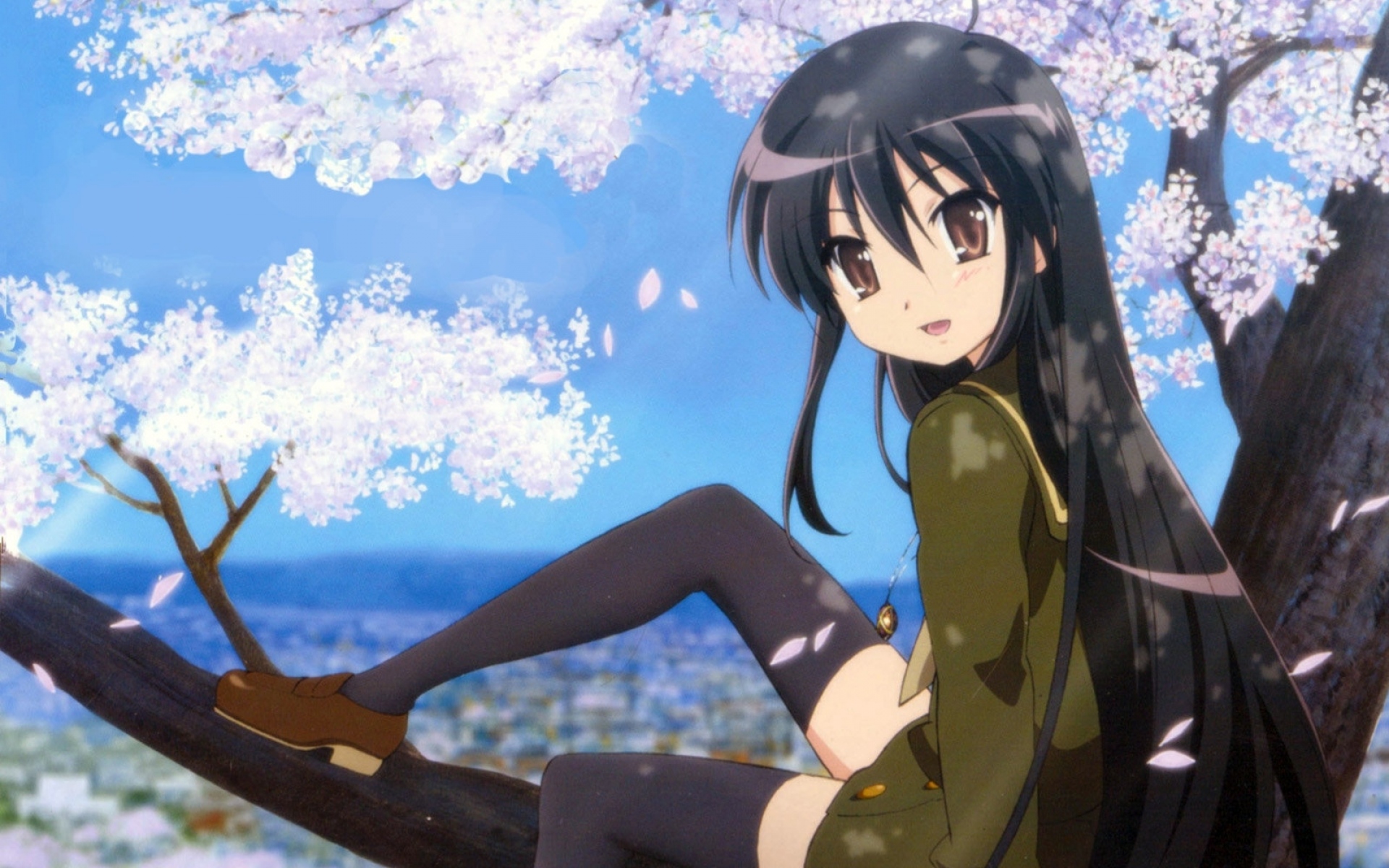 Картинки Shakugan no shana, shana, девушка, брюнетка, деревья, чулки, весна фото и обои на рабочий стол