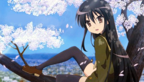 Shakugan no shana, shana, девушка, брюнетка, деревья, чулки, весна