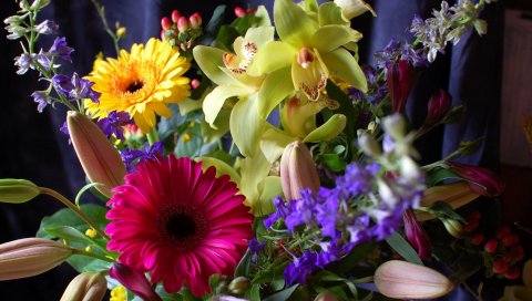 Герберы, орхидеи, цветы, букет, дизайн, композиция
