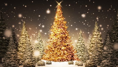 Новый год, рождество, деревья, дерево, открытка, снег, ночь, праздник