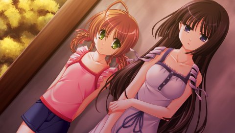 Сумерки shinsemia, игра cg, девушка, стена, осанка