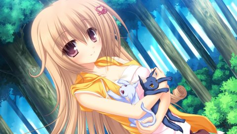 Mikagami mamizu, neko koi, ryuudou misaki, девушка, кошки, лес, улыбка