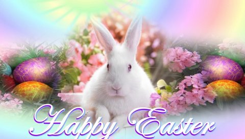 Паша, яйца, праздник, кролик, открытка, надпись, цветы