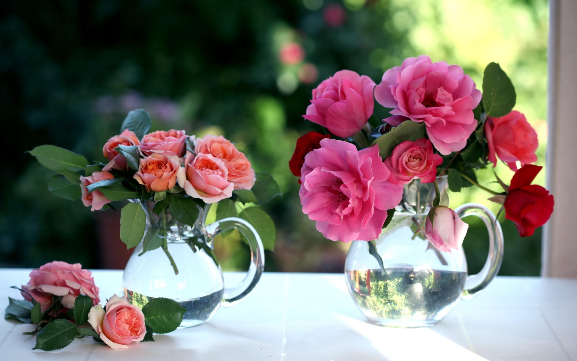 Картинки Розы, цветы, букеты, горшки, окна фото и обои на рабочий стол