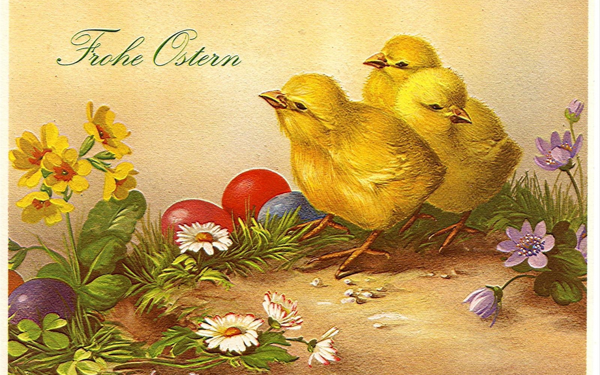 Картинки Паша, яйца, цыплята, цветы, открытка, этикетка фото и обои на рабочий стол