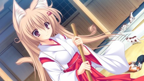 Mikagami mamizu, neko koi, ryuudou misaki, девушка, улыбка, кимоно, уборка, хвост