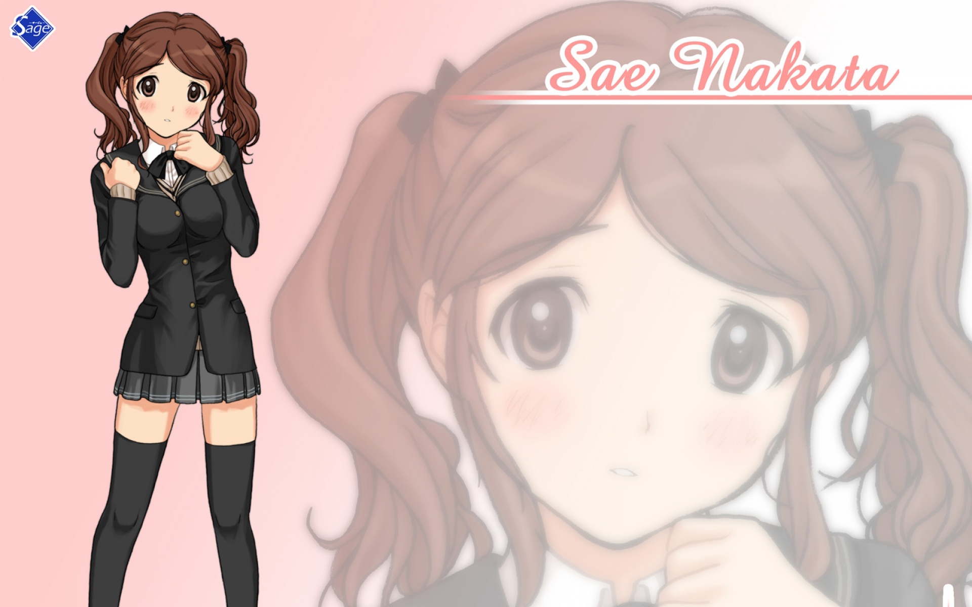 Картинки Amagami, nakata sae, девушка, два хвоста, поза фото и обои на рабочий стол