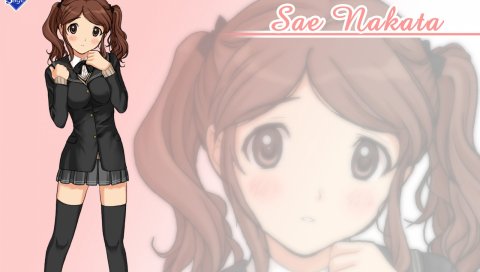 Amagami, nakata sae, девушка, два хвоста, поза
