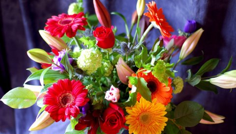 Герберы, розы, гортензия, лилии, цветы, букет, украшение, элегантный