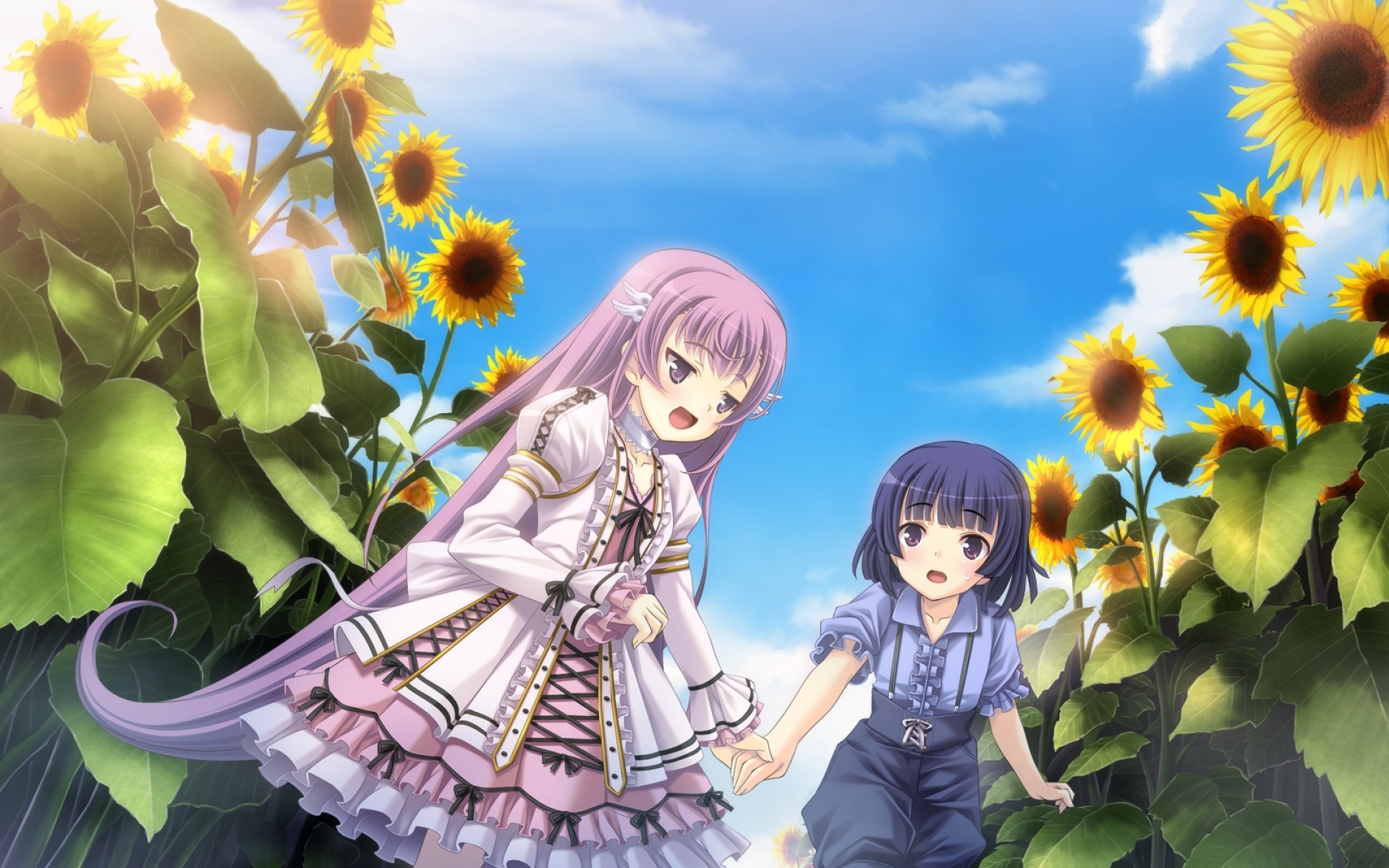 Картинки Tenshi no hane wo fumanaide, девушка, подсолнухи, прогулка, небо фото и обои на рабочий стол
