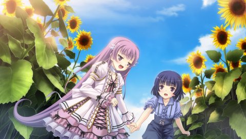 Tenshi no hane wo fumanaide, девушка, подсолнухи, прогулка, небо
