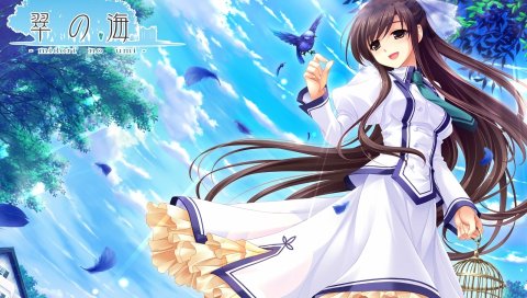 Saeki hokuto, midori no umi, michiru, девушка, птица, перья, клетка, прогулка