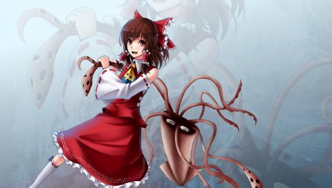 Gayprince, hakurei reimu, девушка, существо, улыбка, космос
