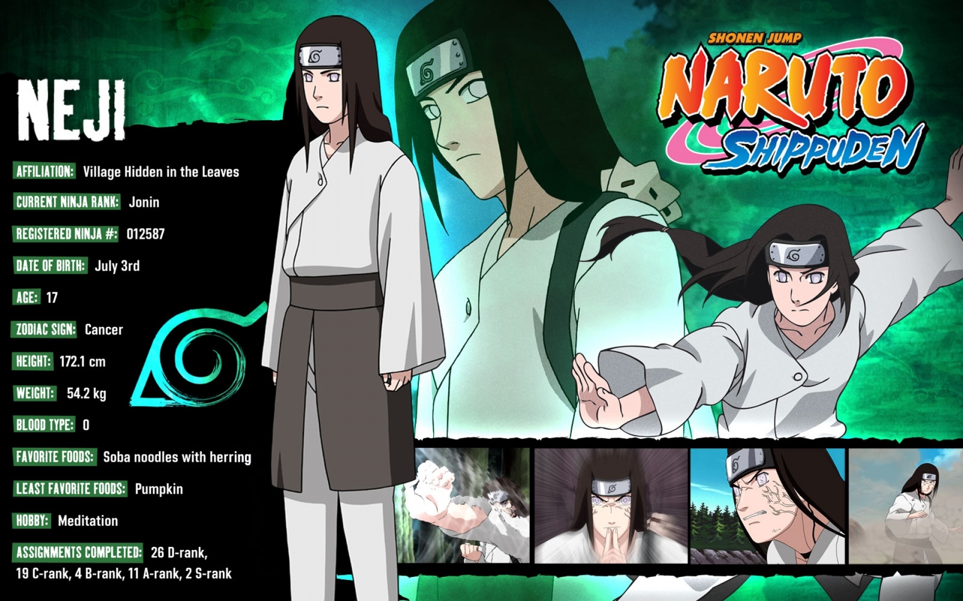 Картинки Наруто, hyuuga neji, девушка, брюнетка, осанка фото и обои на рабочий стол
