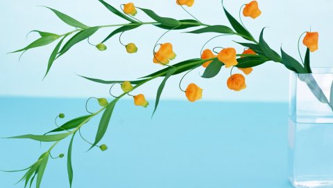 Цветы, ветки, ваза, листья
