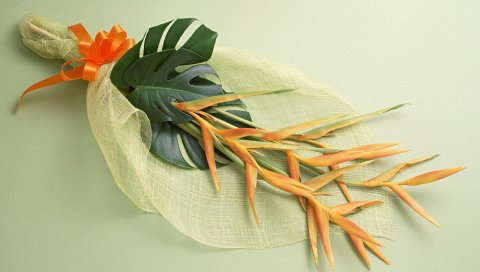 Стерлиция, букет, композиция, листья