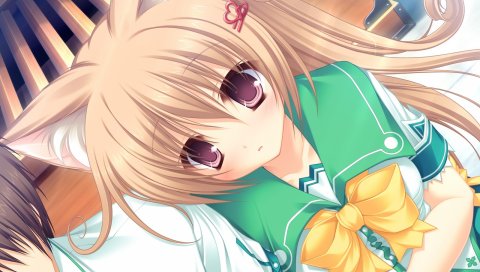 Mikagami mamizu, neko koi, ryuudou misaki, девушка, взгляд, уши, печаль