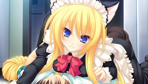 Mikagami mamizu, neko koi, koshimizu rei, девушка, блондинка, кудри