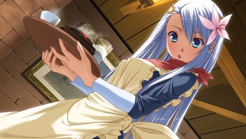Yasuyuki, fuyu no rondo, victoria lumiaula, девушка, фартук, поднос