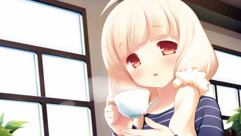 Gayarou, cafe sourire, ogiwara kyouko, девушка, чашка, пар