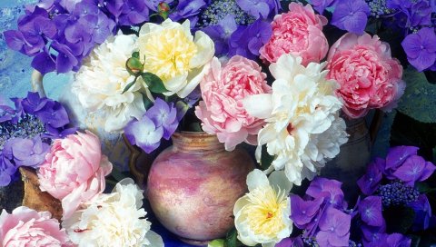 Пионы, гортензия, цветы, живопись, кувшины, цветок, красота