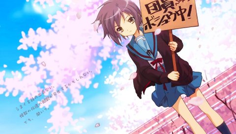 Suzumiya haruhi no yuutsu, nagato yuki, девушка, школьная форма