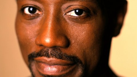 Wesley snipes, лицо, глаза, карие глаза, улыбка