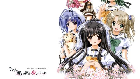 Nishimata aoi, sore wa maichiru sakura no you ni, yukimura komachi, hoshizaki nozomi, satomi kodama, mori aoba, yaegashi tsubasa, girls