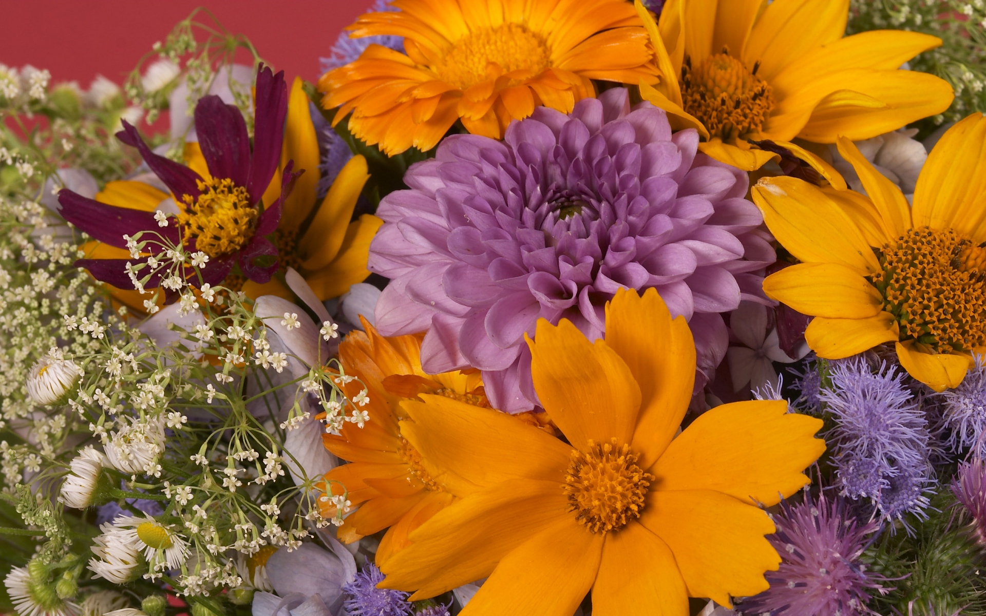 Картинки Георгины, ромашки, цветы, букет, яркие, крупным планом фото и обои на рабочий стол