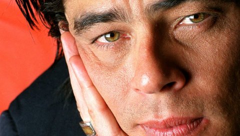 Benicio del toro, мужчина, брюнетка, лицо, рука, кольцо, карие глаза