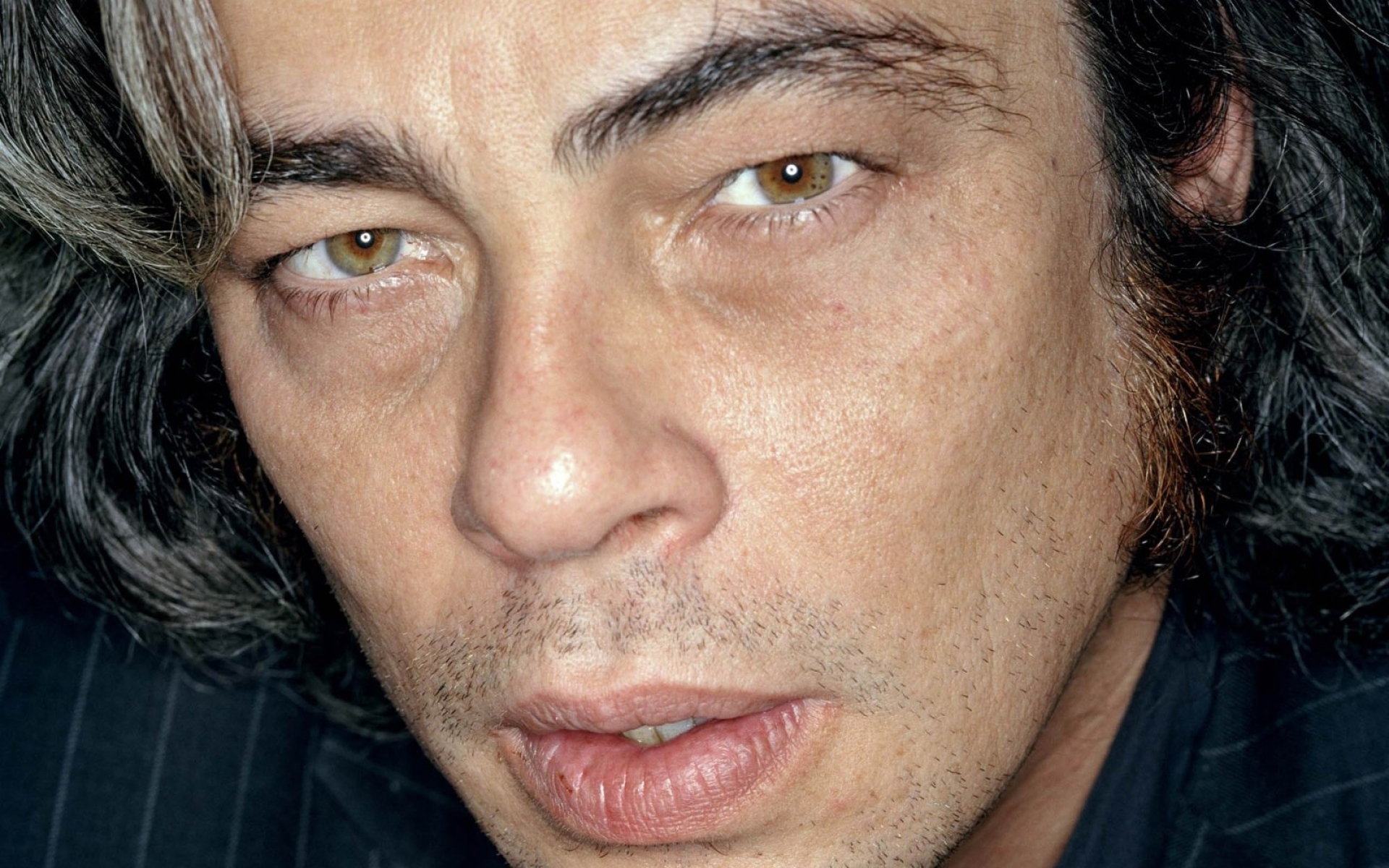 Картинки Benicio del toro, мужчина, брюнетка, седой, лицо, карие глаза, морщина фото и обои на рабочий стол