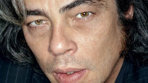 Benicio del toro, мужчина, брюнетка, седой, лицо, карие глаза, морщина