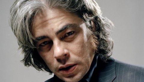 Benicio del toro, мужчина, брюнетка, седой, лицо, глаза