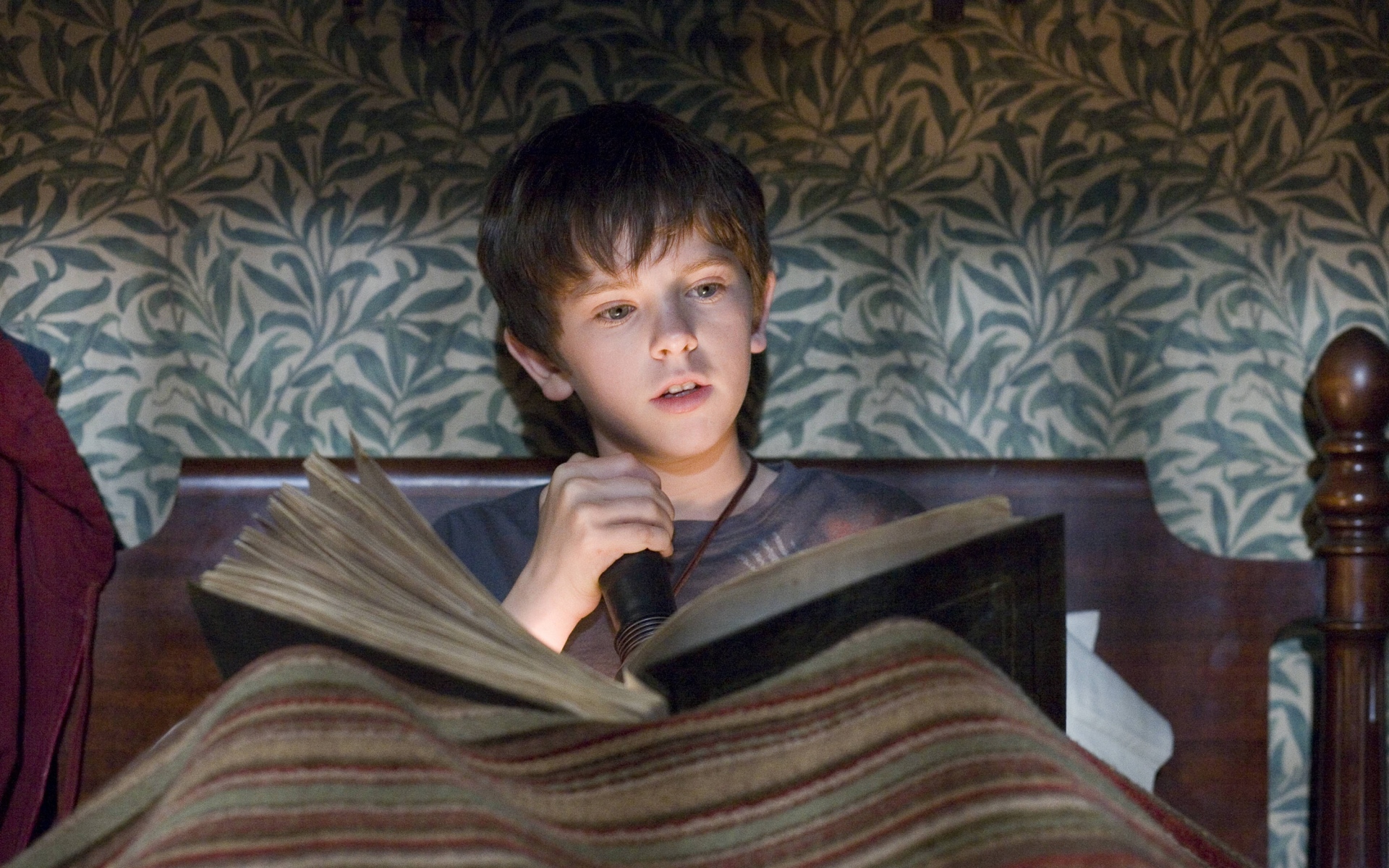 Картинки Freddie highmore, знаменитость, книга, молодой фото и обои на рабочий стол