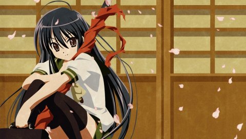 Shakugan no shana, shana, девушка, брюнетка, лепестки