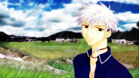 Фрукты корзина hatsuharu sohma, парень, блондин, пейзаж