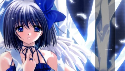 Nishimata aoi, под невинным небом, крылья, пояс, девушка