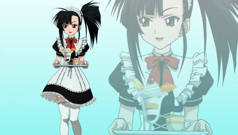 Mahou sensei negima, sakurazaki setsuna, девушка, горничная, поднос, шаг