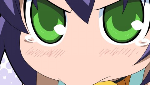 Kyouran kazoku nikki, крупный план, зеленые глаза, гнев