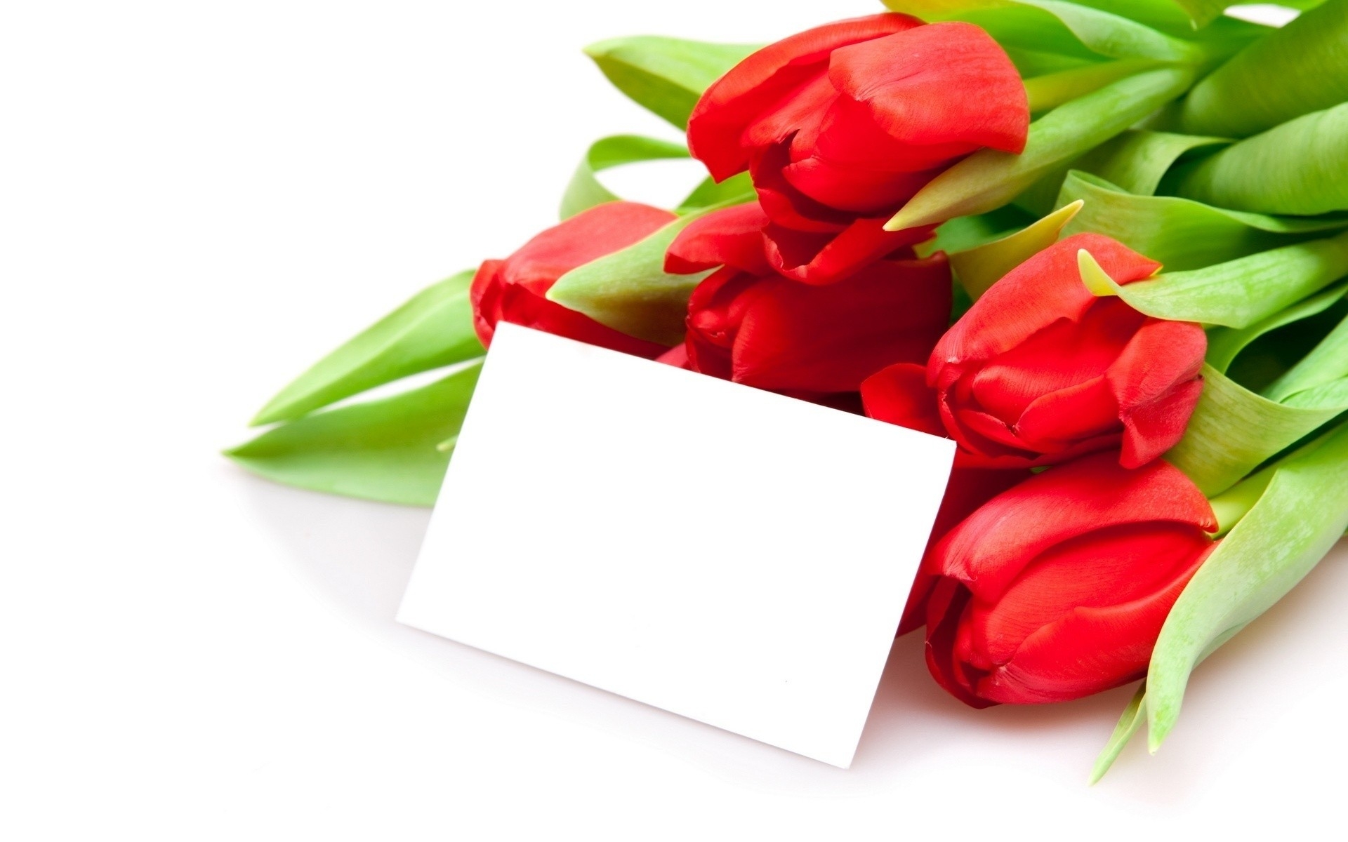 Картинки Тюльпаны, цветы, букет, ложь, конверт фото и обои на рабочий стол