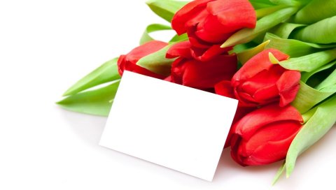 Тюльпаны, цветы, букет, ложь, конверт