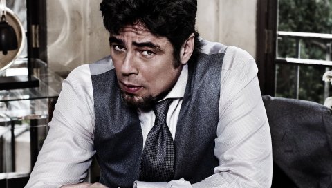 Benicio del toro, коричневые волосы, борода, рубашка, взгляд, жестокость