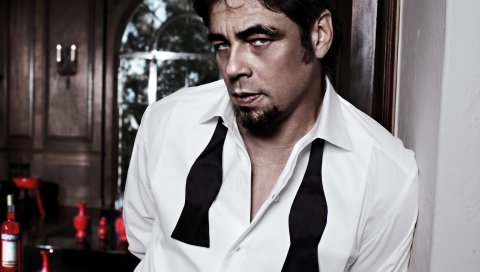Benicio del toro, brunet, волосы, глаза, корма, мужчина
