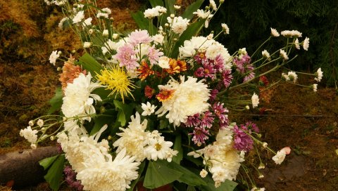 Хризантемы, цветы, разные, букет, композиция, лист