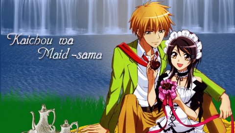 Kaichou wa maid-sama, misaki ayuzawa, takumi usui, мальчик, девушка, пикник
